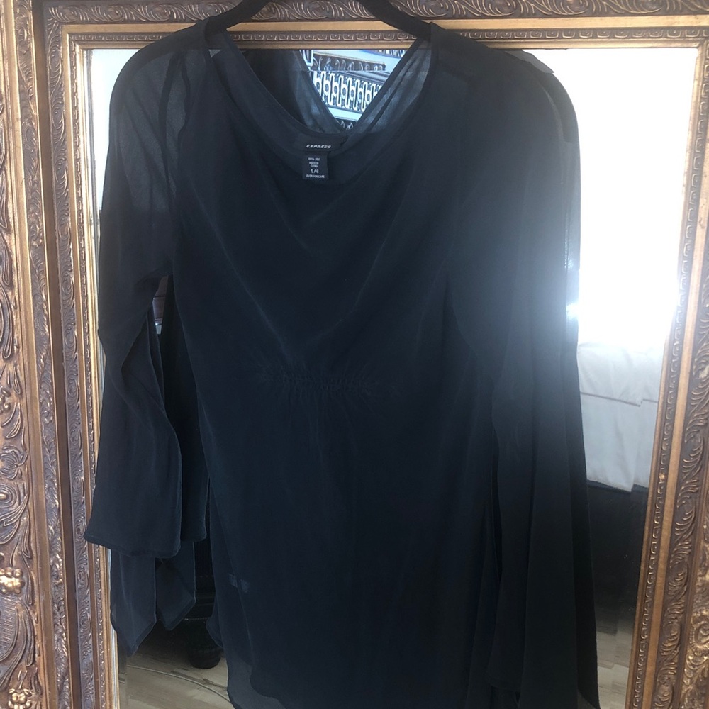 Express 100% Silk Sheer Top
